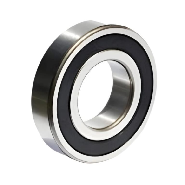 6006DD-NSK Bearings