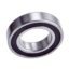 6002DD-GT Bearings