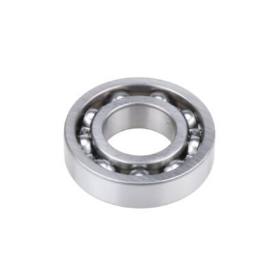 6010DD-GT Bearings