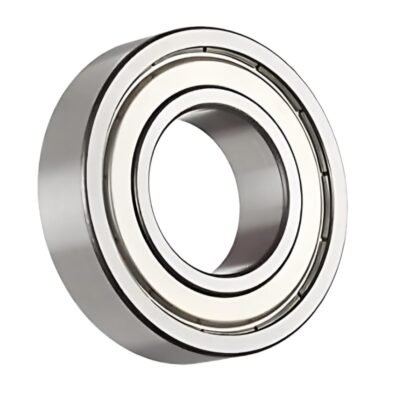 6013DD- KG Bearings