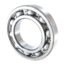 6005DD-NSK Bearings