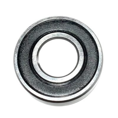 6000DDU-KG Bearings