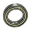 6005ZZ-NSK Bearings