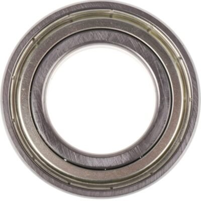 6006ZZ-NSK Bearings