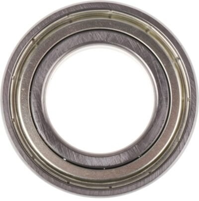 6006ZZ-NSK Bearings