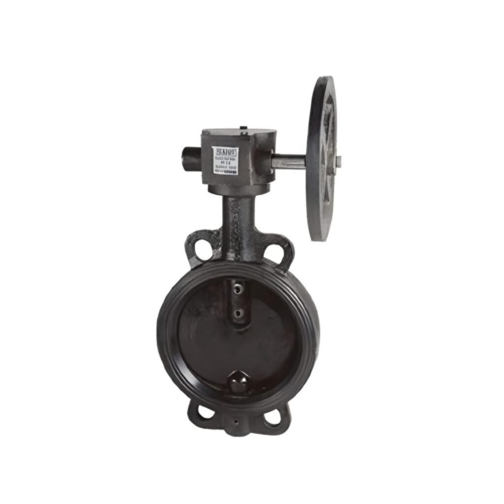 CR-21B Cast Iron Butterfly Valve