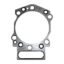 Cummins Cylinder Head Gasket-3166288