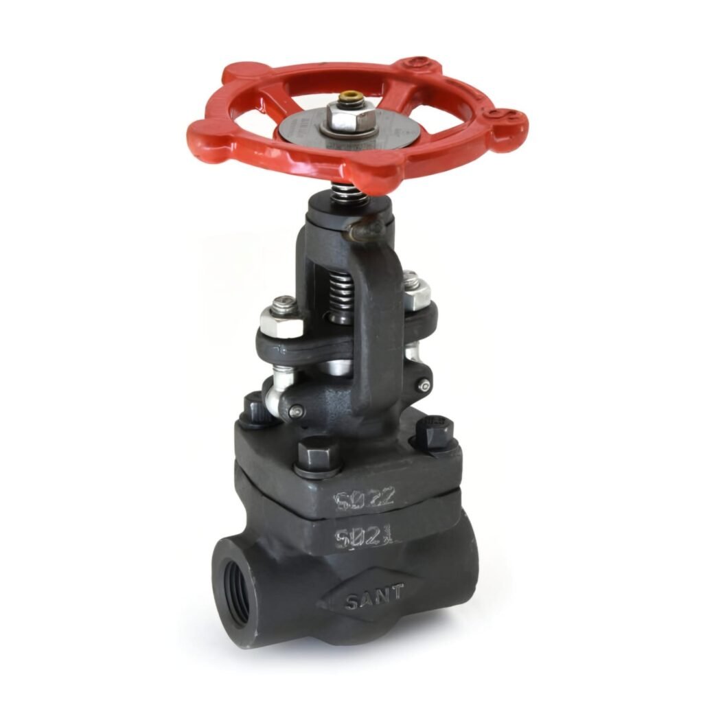 FSV-6A Forged Steel Globe Valve