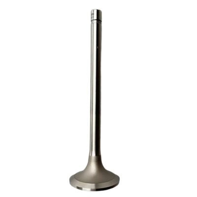 Intake Valve-3052820