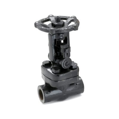 FSV-5A Forged Steel Wedge Gate Valve