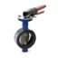 CR-27A Cast Iron Butterfly Valve