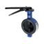 CR-23 Cast Iron Butterfly Valve