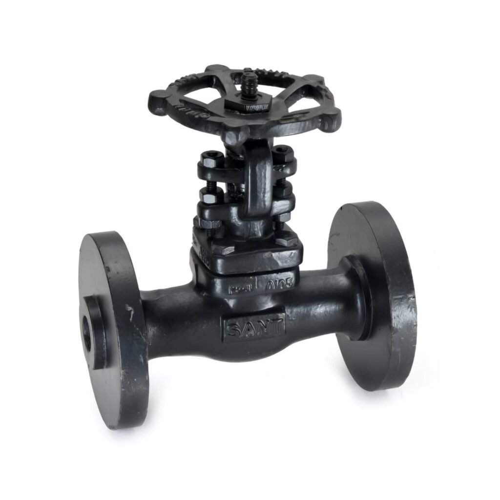 FSV-12 Forged Steel Globe Valve