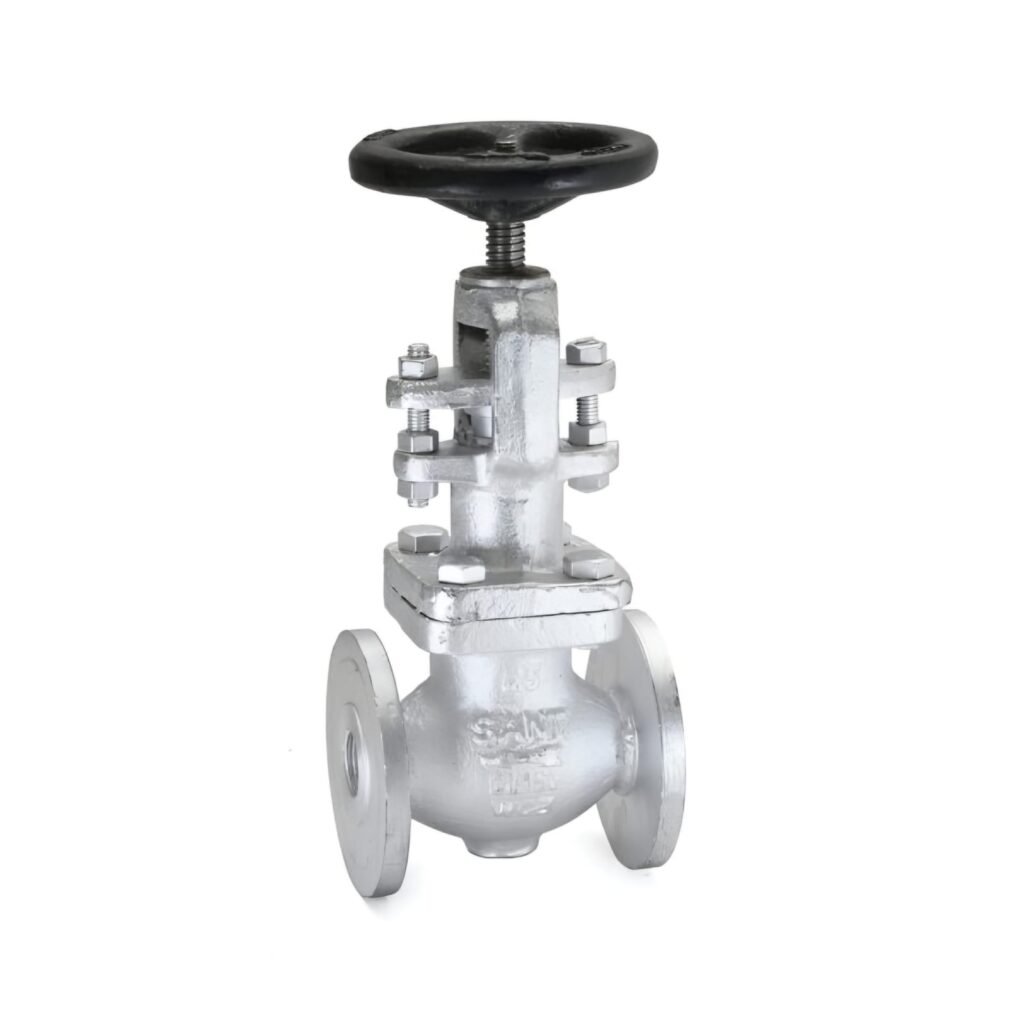 CS-9 Cast Steel Globe Valve