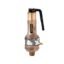 IBR-25 Bronze Safety Valve