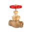 SBM-14 Bronze Union Bonnet Globe Valve
