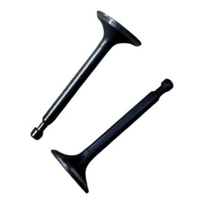 Honda GX270 Intake and Exhaust Valve