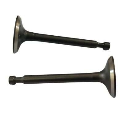 Intake Suction Exhaust Valve for Honda GX160