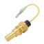 Brass Excavator Water Temperature Sensor (1-83161019-1)